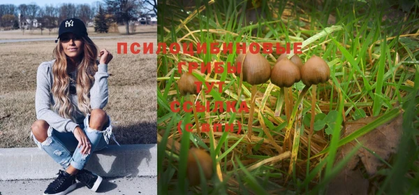 бутират Богородицк