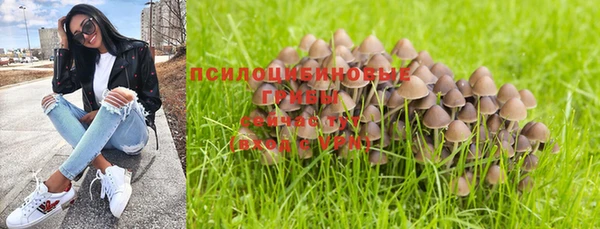 наркотики Богданович