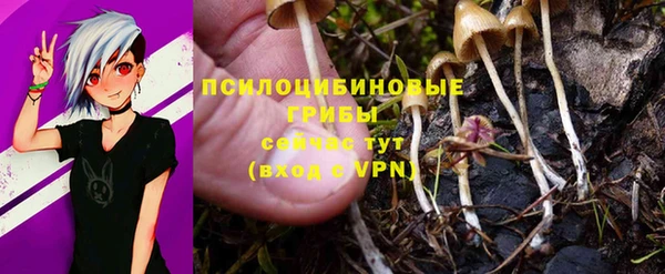 наркотики Богданович
